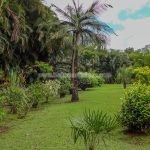 La cHaudiere - restaurant - le morne rouge - martinique - antilles - caraibes 2