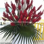 La chaudiere - restaurant - le morne rouge - martinique - antilles - caraibes 7