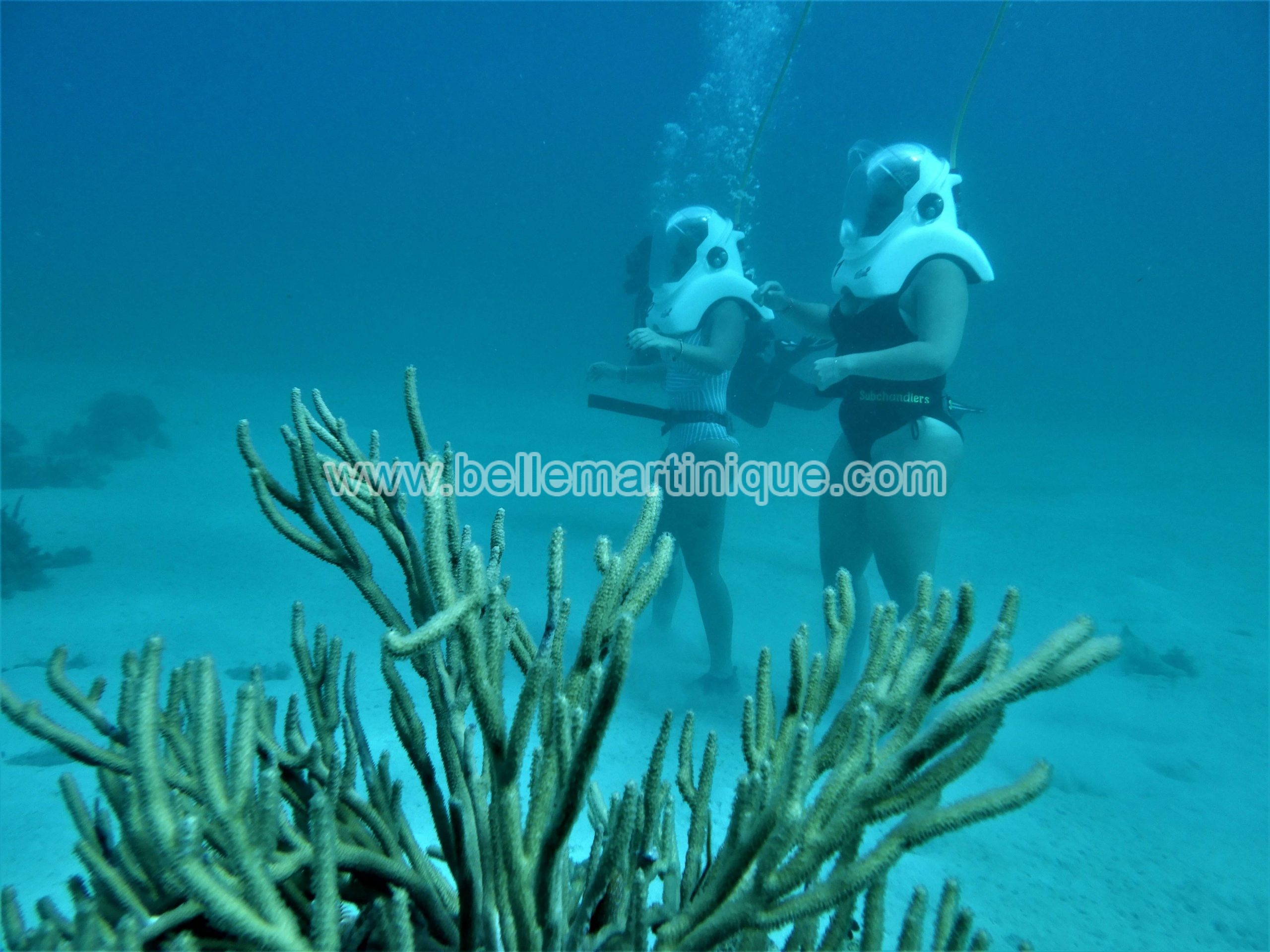 Undersea Walking Martinique Balade sousmarine en Martinique