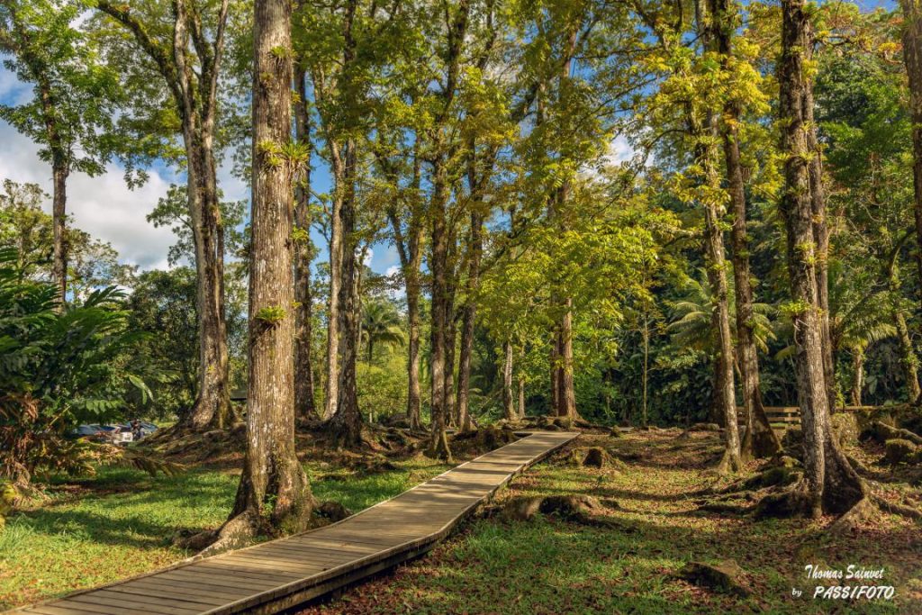 Coeur Bouliki - Saint Joseph - Riviere - Randonnee - Martinique - Antilles - Caraibes (3)