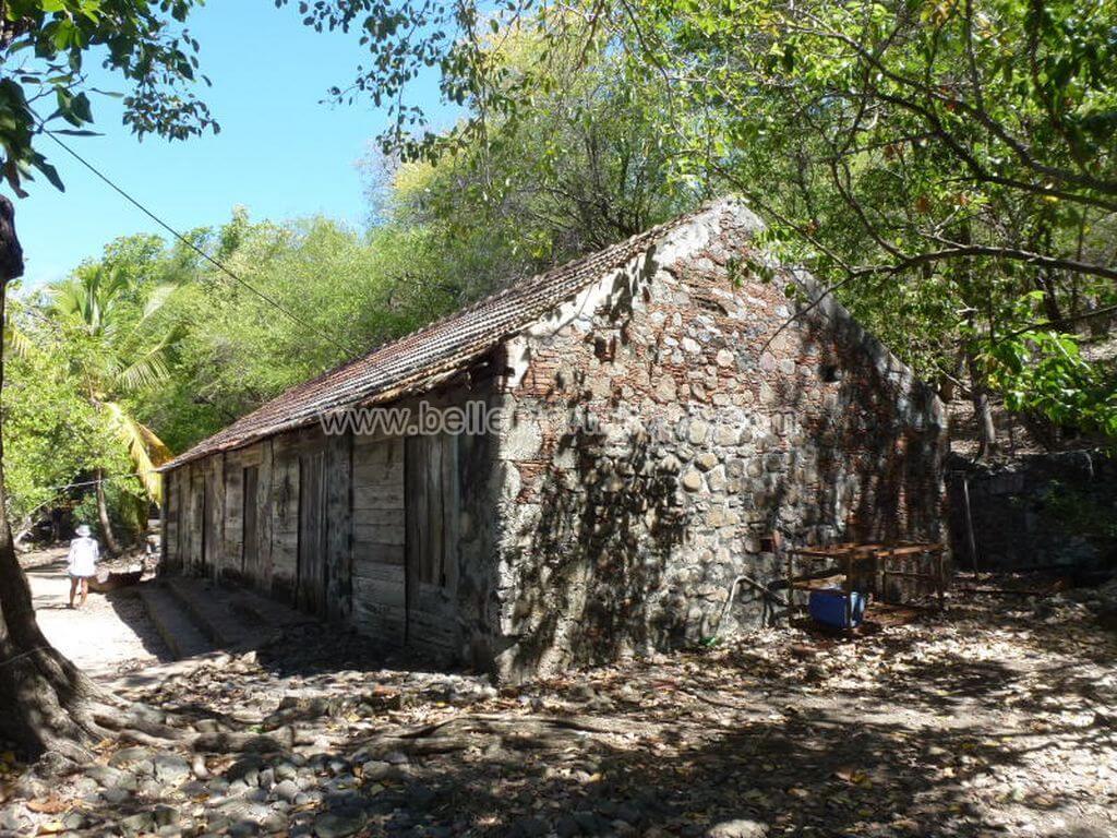Ilet-Chancel-martinique-iguane