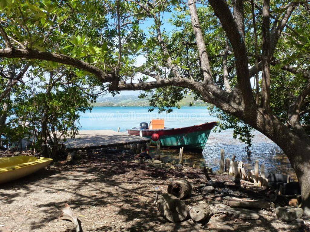 Ilet-Chancel-martinique-iguane