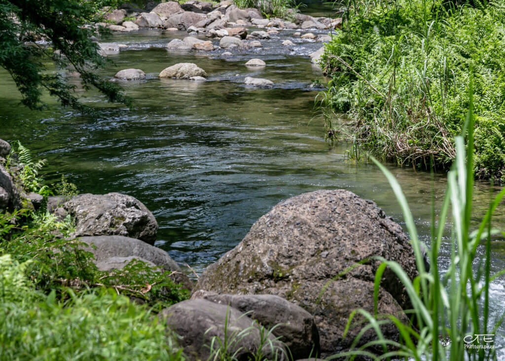 CTE_Coeur Bouliki_Saint Joseph-Martinique