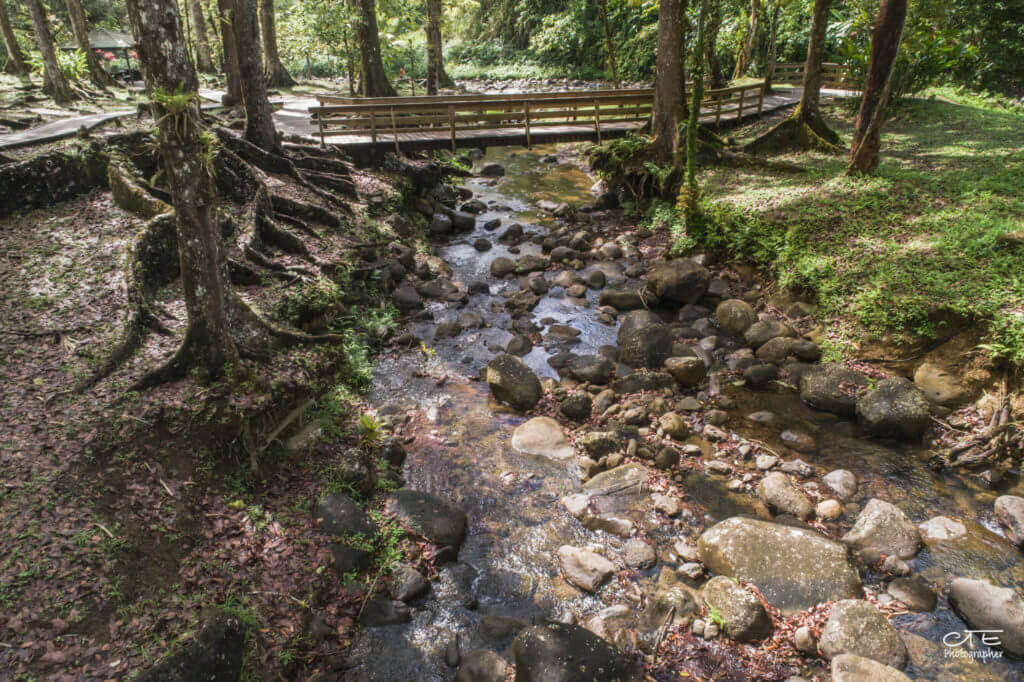 CTE_Coeur Bouliki_Saint Joseph-Martinique