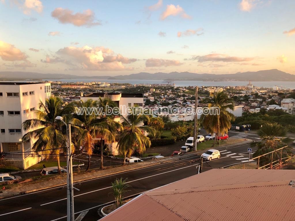 Belle Martinique