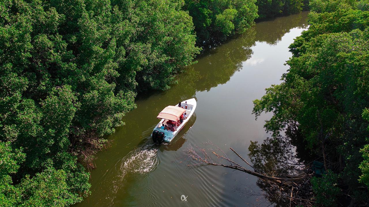 LIBODOII_bateau_visite_de_la_mangrove_riviere_pilote_martinique