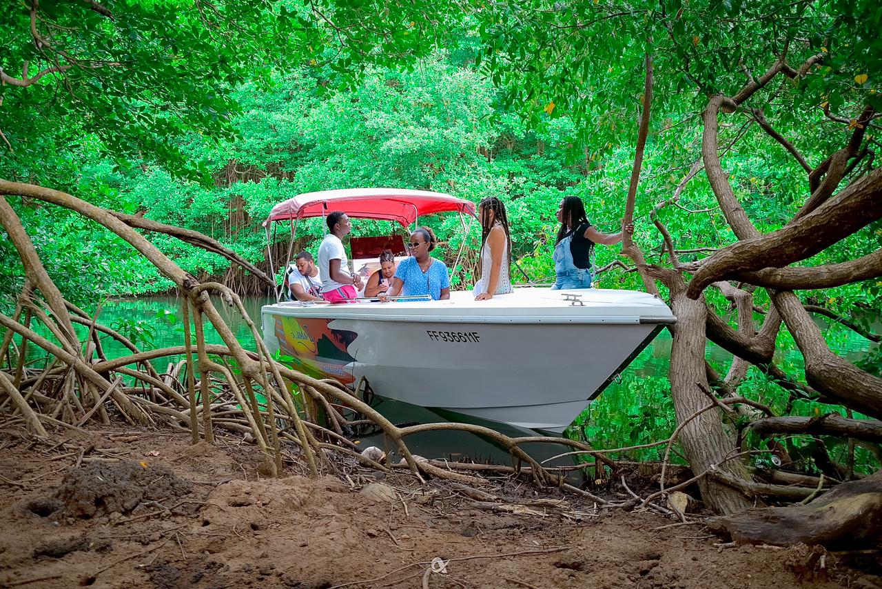LIBODO_bateau_visite_de_la_mangrove_riviere_pilote_martinique