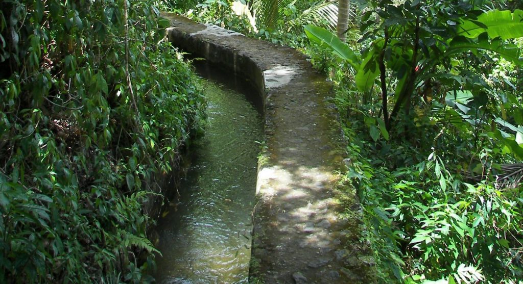 Randonnée Martinique - Randonnée au canal des esclaves en Martinique