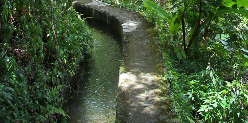 Activité Martinique - Randonnée au canal des esclaves en Martinique