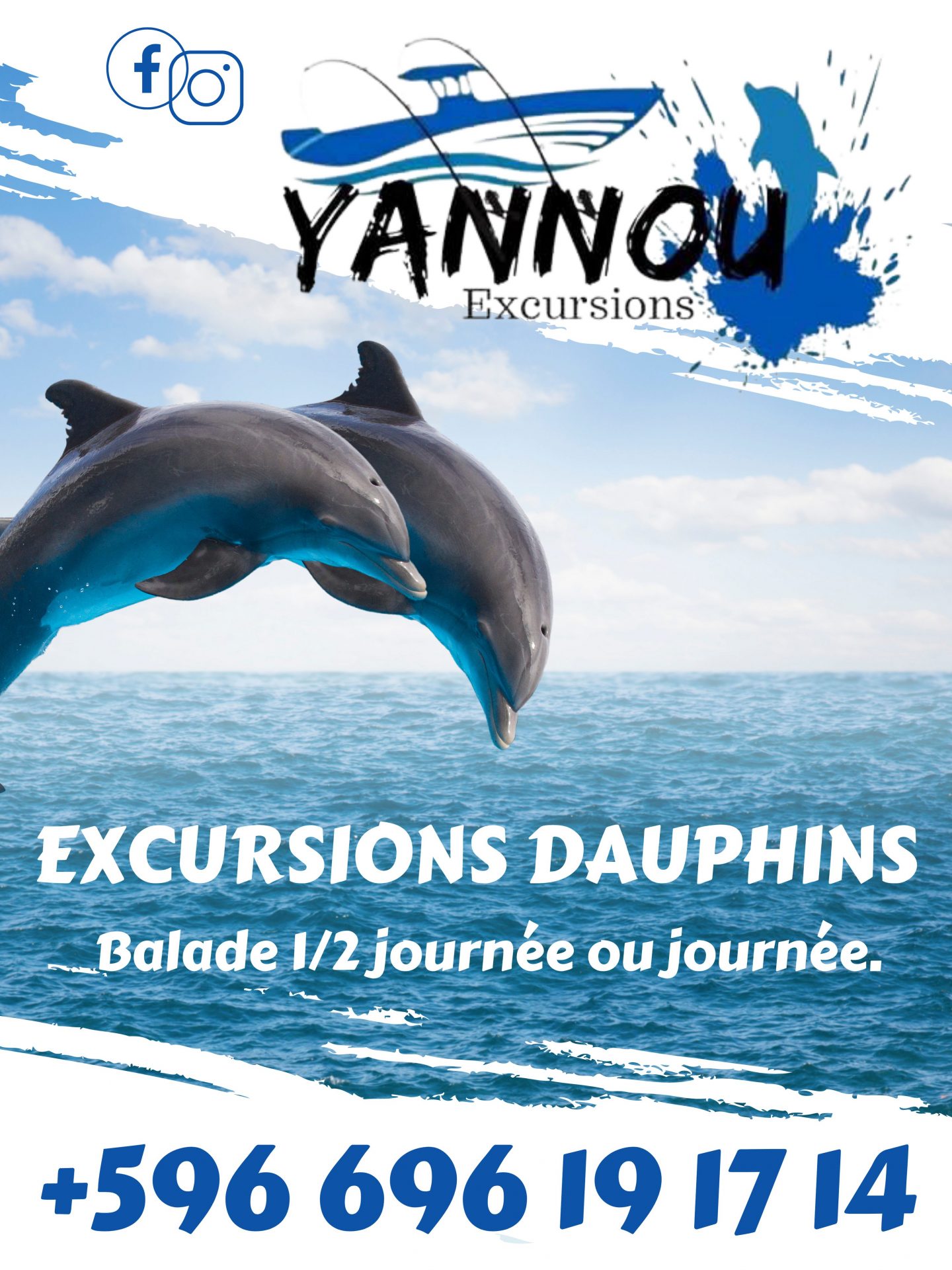 yannou excursion balade en mer découverte dauphin