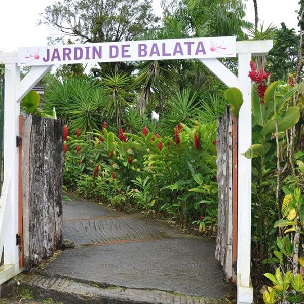 jardin-de-balata-fort-de-france-martinique