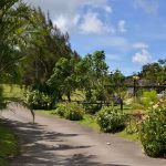 Le Domaine de la Vallée - Vanilleraie - Restaurant - Bungalows - Morne Rouge - Martinique - Antilles - Caraibes 5