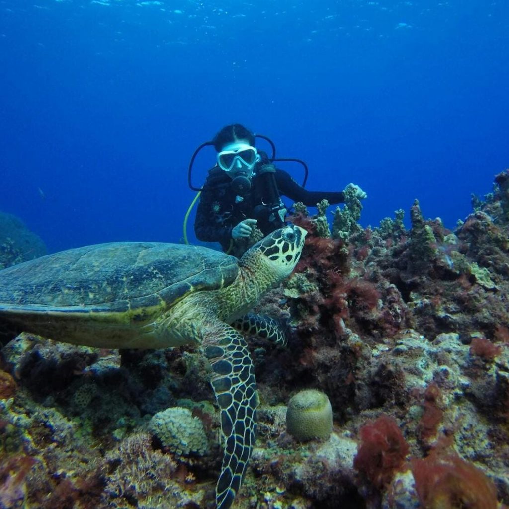 plongee-sous-marine-martinique-