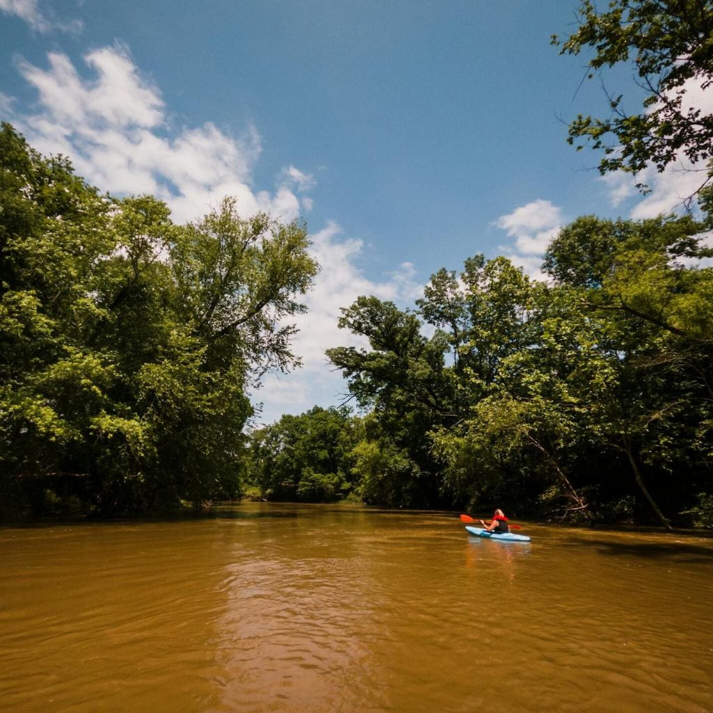 visite-mangrove-kayak-paddle-sentiers-pedagogique-martinique