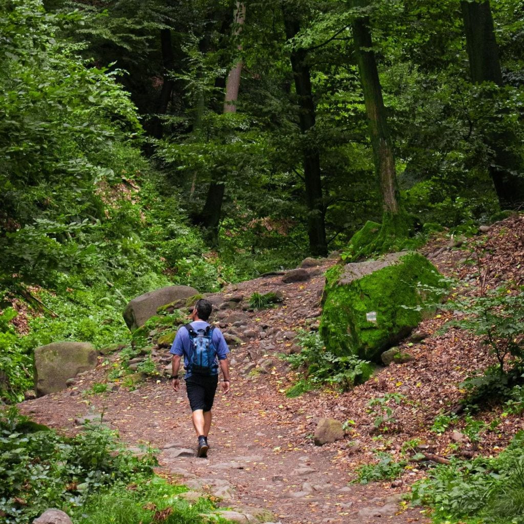 circuit-randonnee-martinique