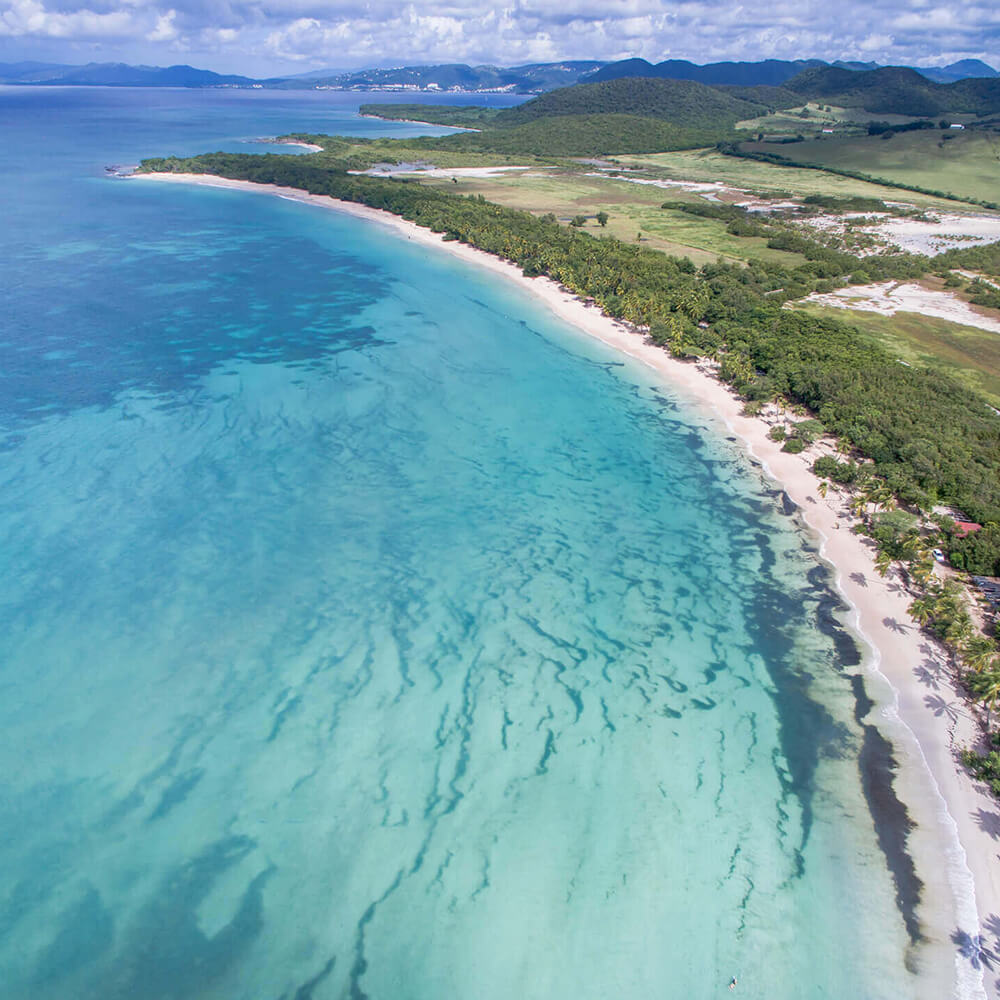 cte-plages-salines-sainte-anne-martinique