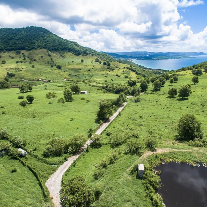 Le-Diamant-La-charmeuse