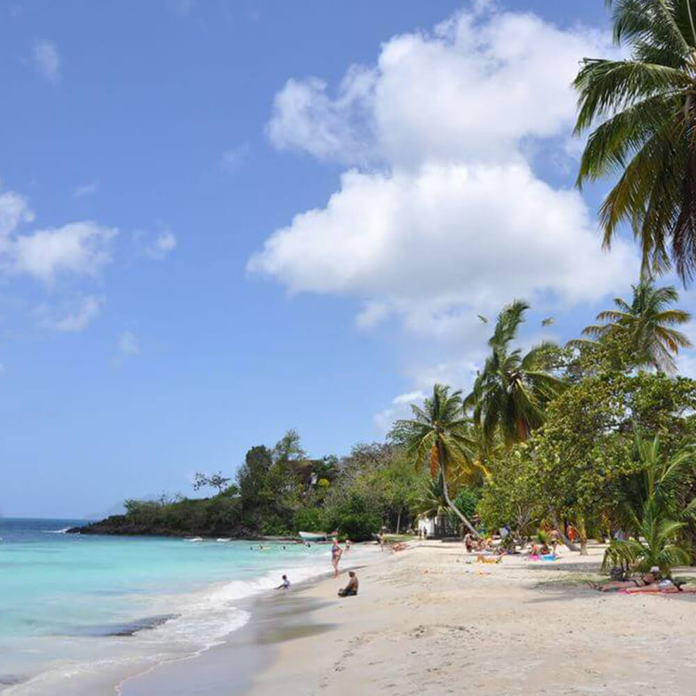 Plage-anse-figuier-riviere-pilote-martinique-2