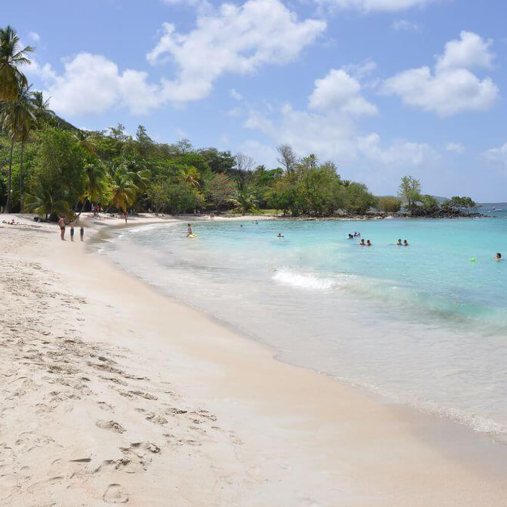 Plage-anse-figuier-riviere-pilote-martinique-5-1