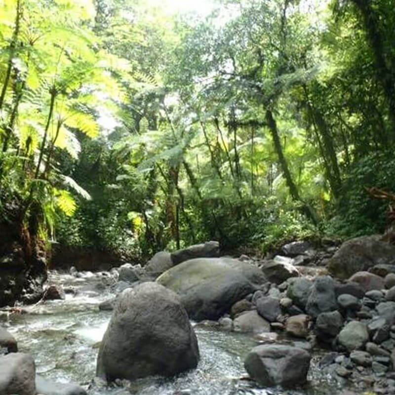 Randonnee-Les-Gorges-de-la-Falaise-Ajoupa-Bouillon-Martinique-2