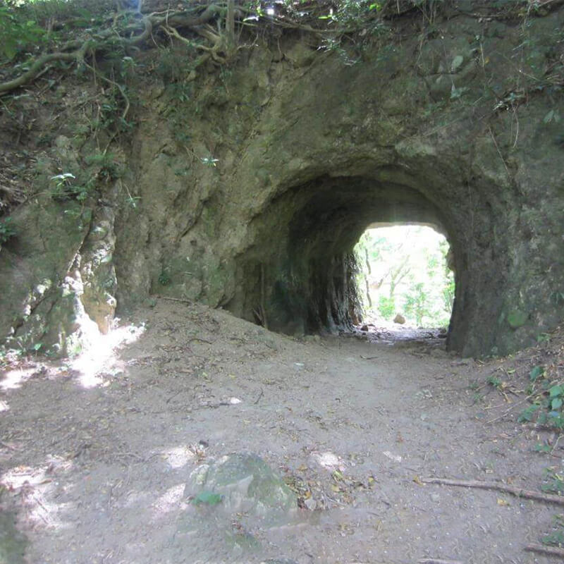 Randonnee-Precheur-grand-riviere-5