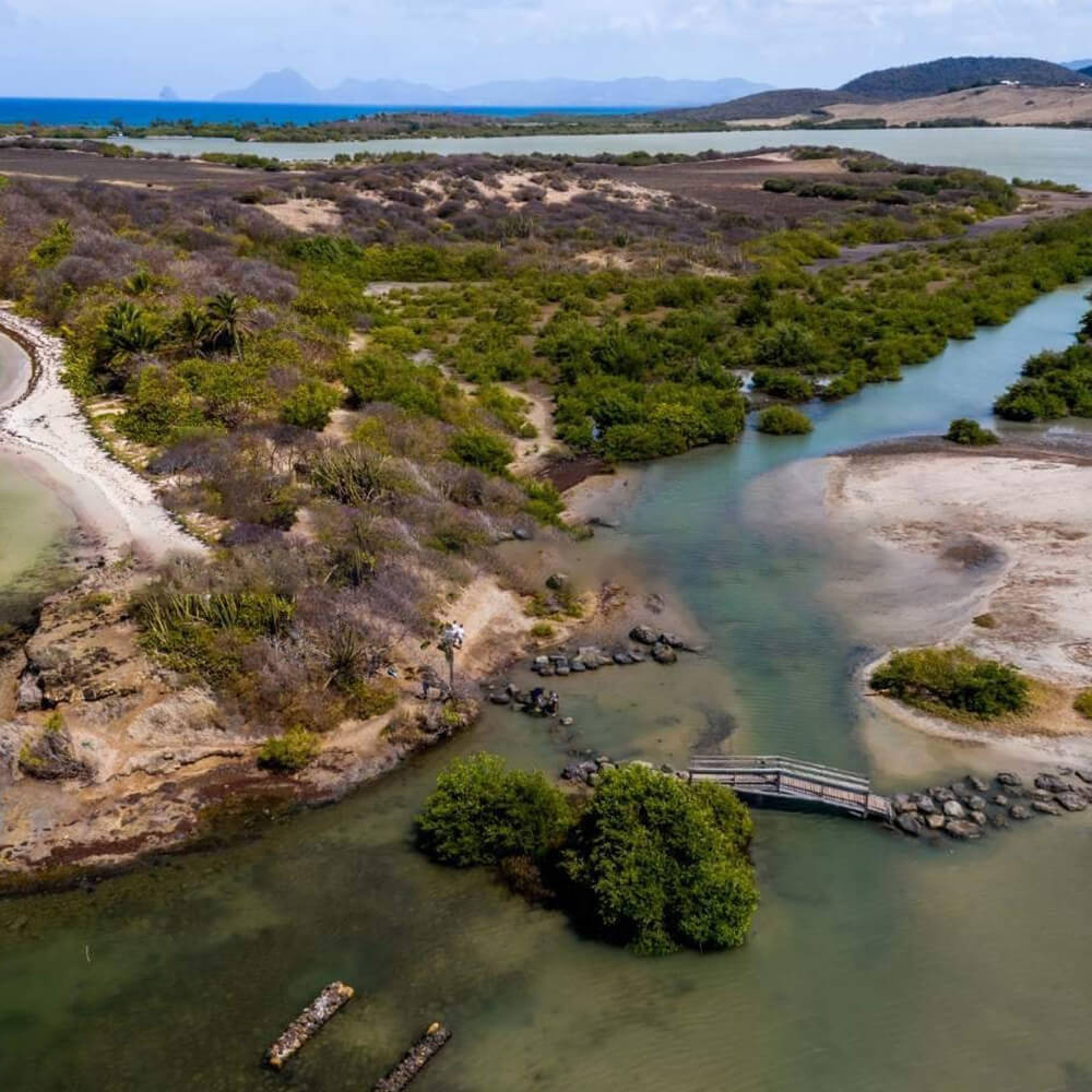 sainte-anne-plus-belle-plage-martinique