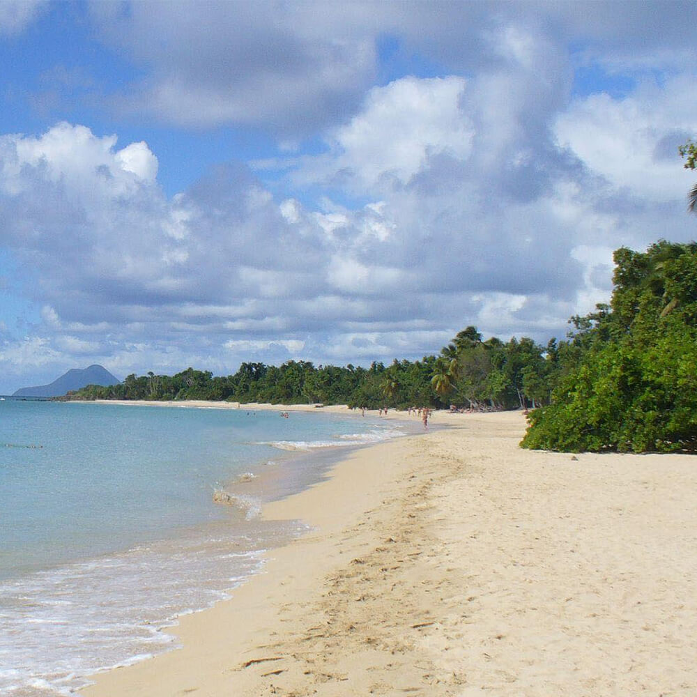 sainte-anne-plage-les-salines-martinique
