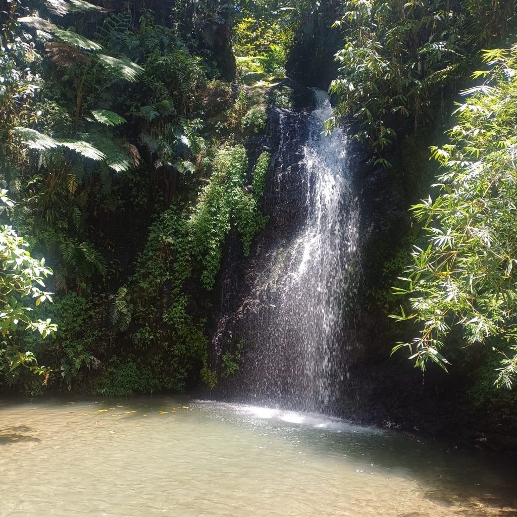 cascade-riviere-martinique