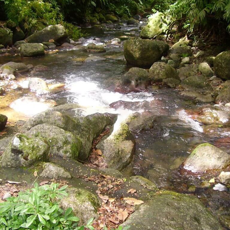 cascade-de-l-alma-riviere-martinique